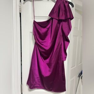 Brand new Purple express dress